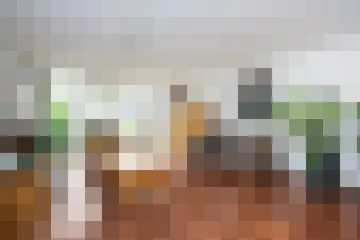 Pimpernelweg 64 Zwolle thumbnail 5