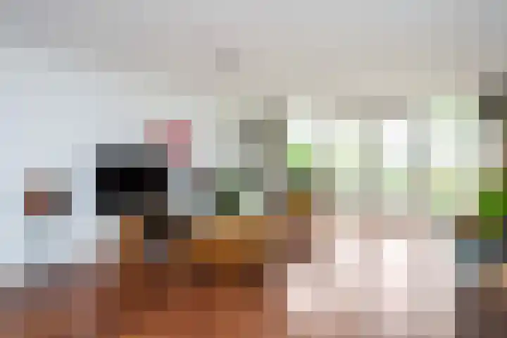 Pimpernelweg 64 Zwolle thumbnail 6