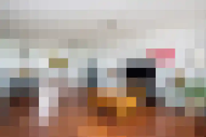 Pimpernelweg 64 Zwolle thumbnail 7