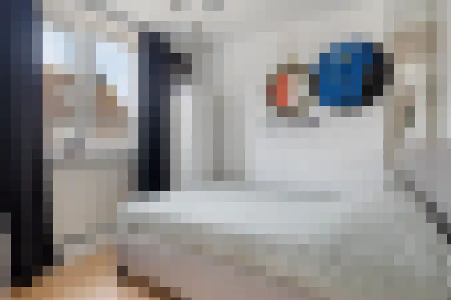 Pinakel 5 Middelburg thumbnail 16