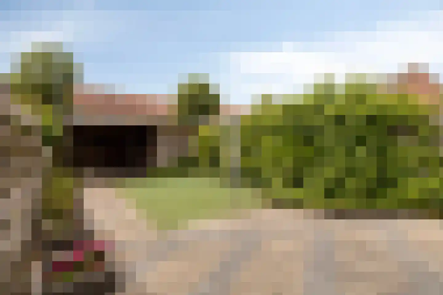 Pinakel 5 Middelburg thumbnail 28