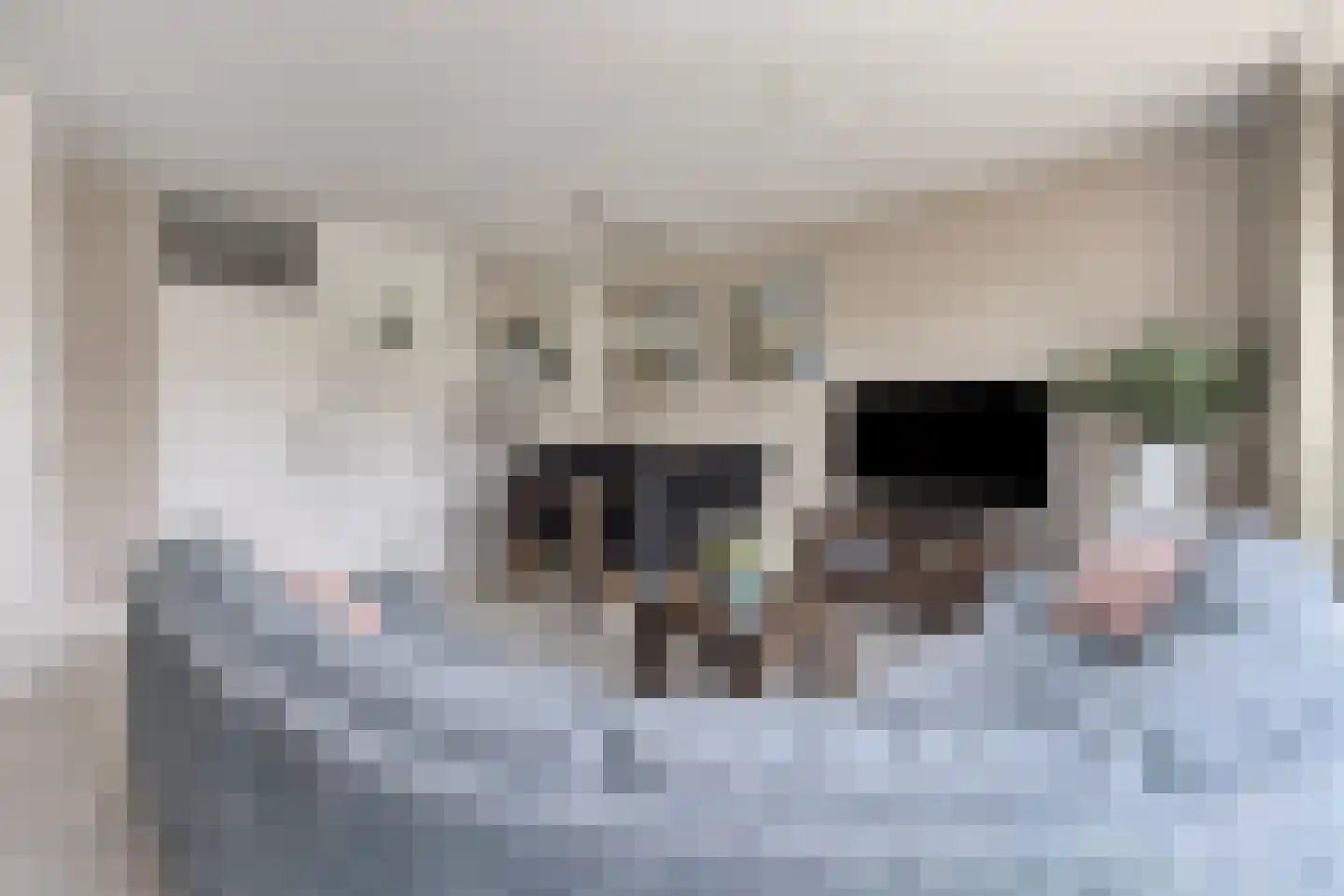 Pinakel 5 Middelburg thumbnail 9