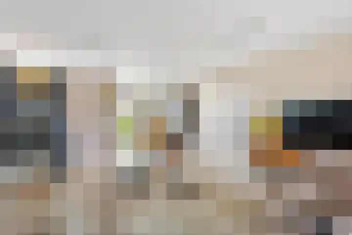 Pinaskade 50 Zoetermeer thumbnail 10