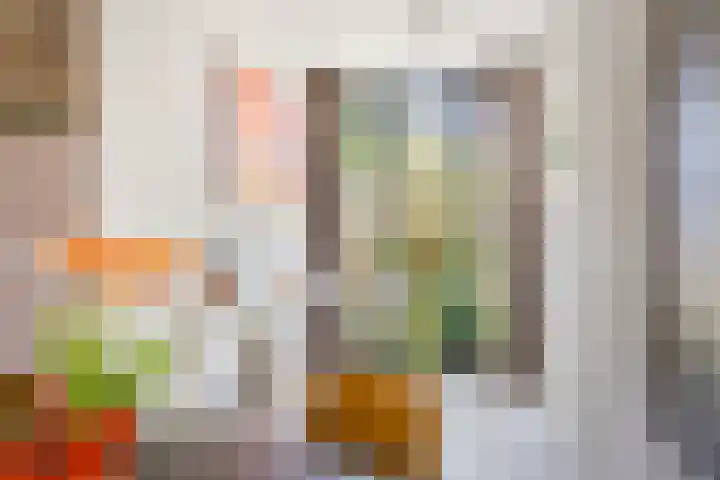 Pinaskade 50 Zoetermeer thumbnail 11