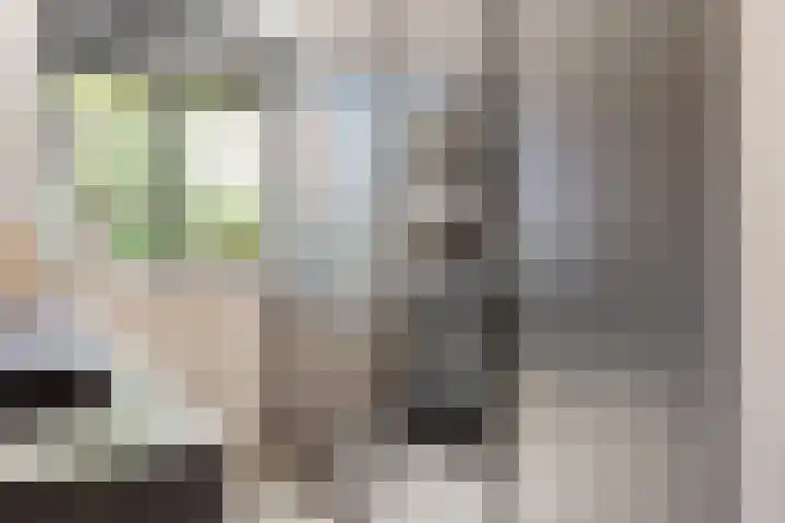 Pinaskade 50 Zoetermeer thumbnail 14
