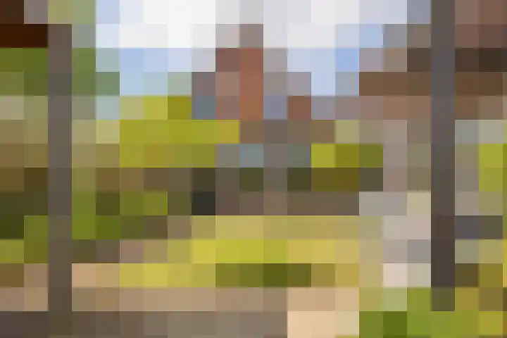 Pinaskade 50 Zoetermeer thumbnail 33