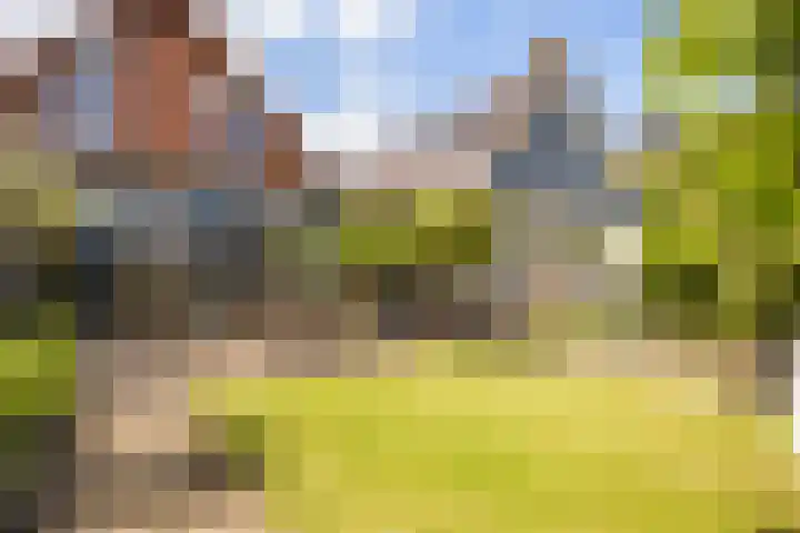 Pinaskade 50 Zoetermeer thumbnail 34