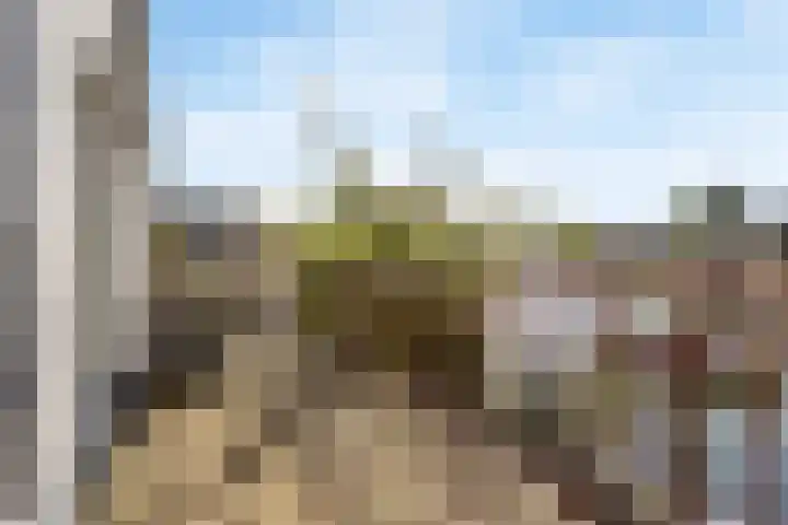 Pinaskade 80 Zoetermeer thumbnail 20