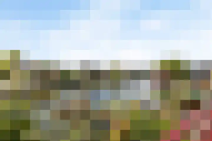 Pinaskade 80 Zoetermeer thumbnail 21