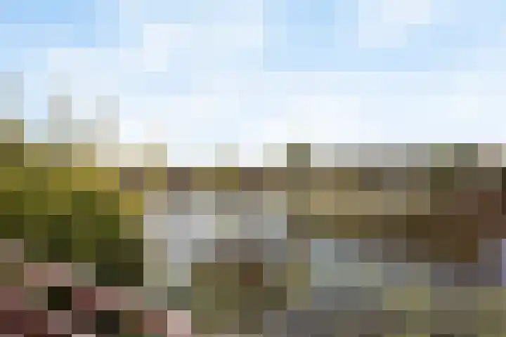 Pinaskade 80 Zoetermeer thumbnail 22