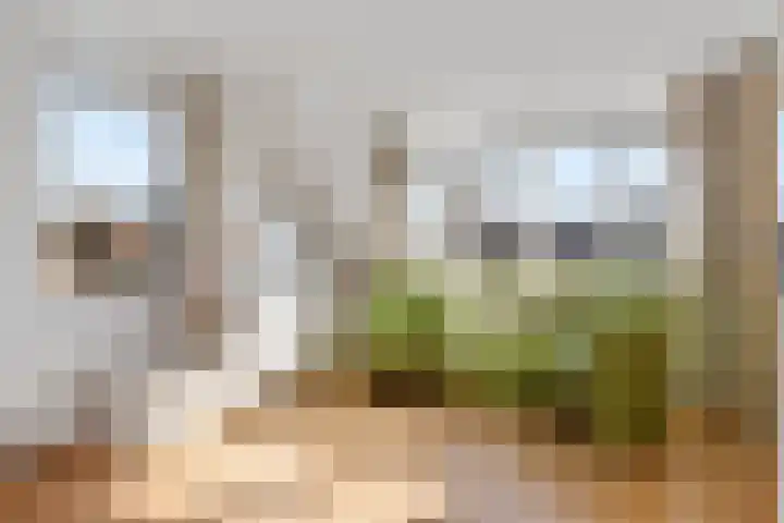 Pinaskade 80 Zoetermeer thumbnail 26