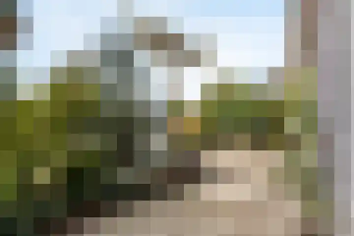 Pinaskade 80 Zoetermeer thumbnail 32