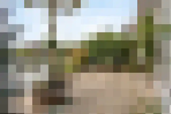 Pinaskade 80 Zoetermeer thumbnail 33