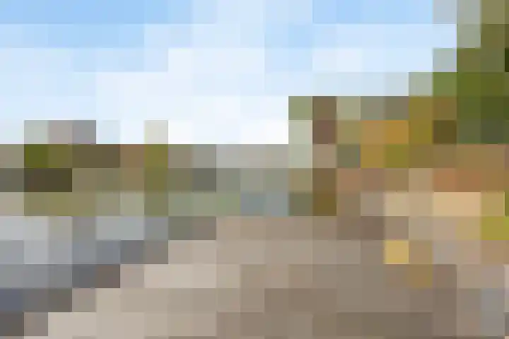 Pinaskade 80 Zoetermeer thumbnail 38