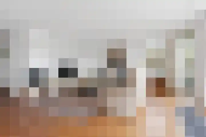 Pinaskade 80 Zoetermeer thumbnail 4