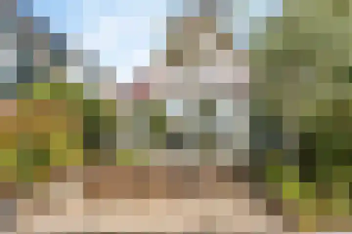 Pinaskade 80 Zoetermeer thumbnail 40