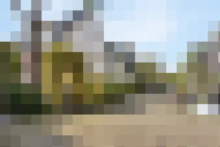 Pinaskade 80 Zoetermeer thumbnail 44