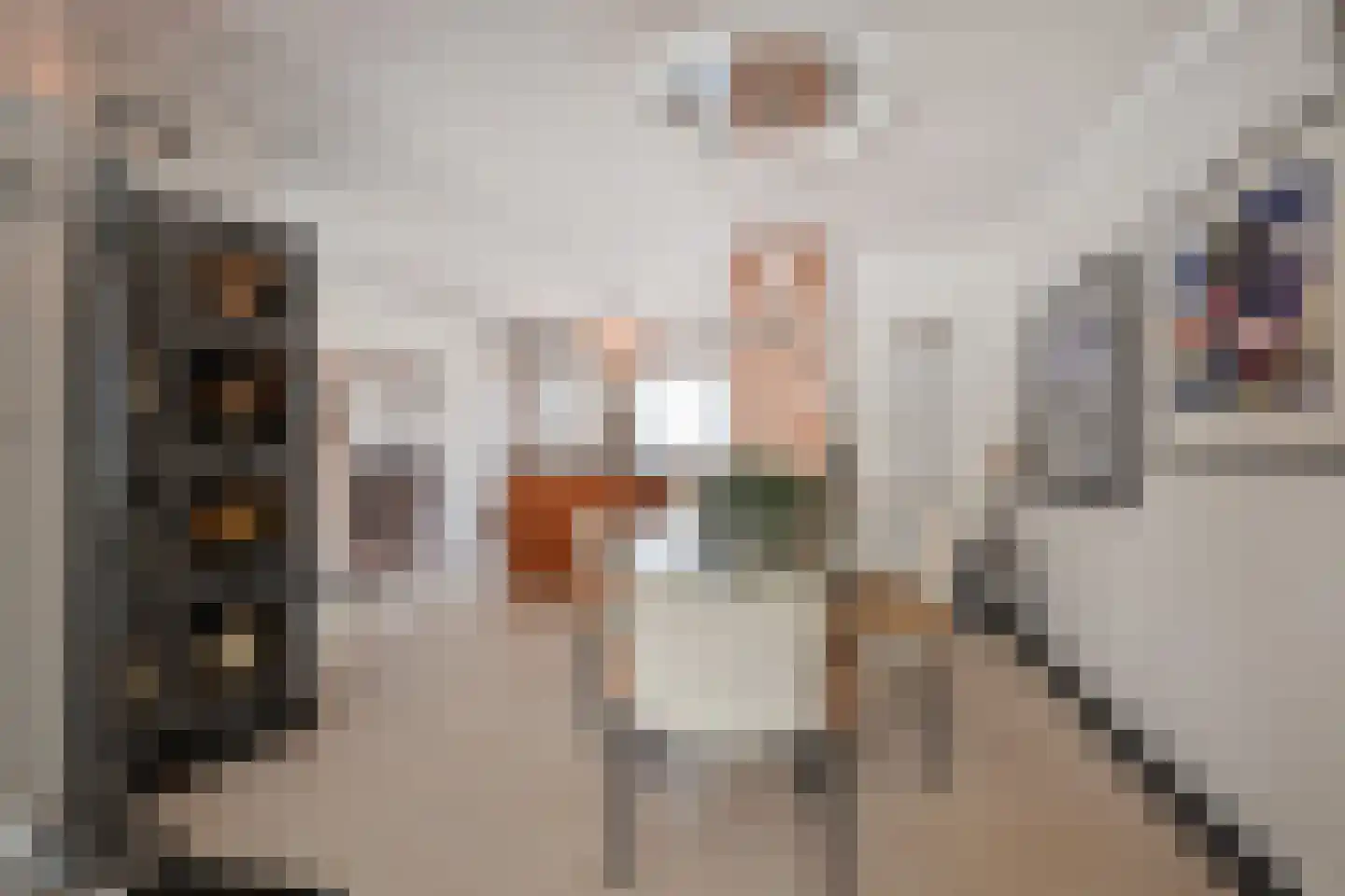 Pinaskade 82 Zoetermeer thumbnail 18
