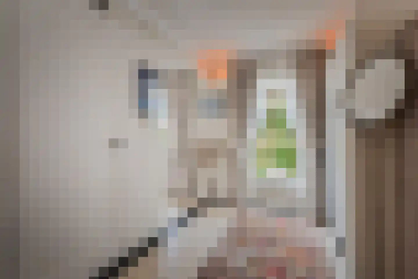 Pinaskade 82 Zoetermeer thumbnail 19