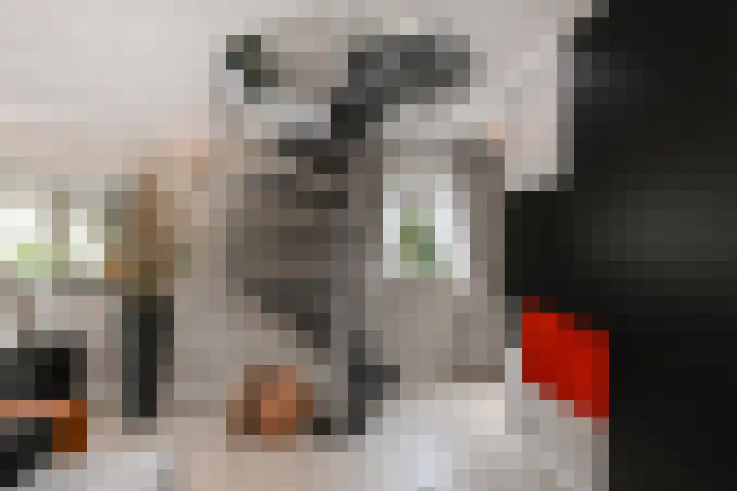 Pinaskade 82 Zoetermeer thumbnail 21