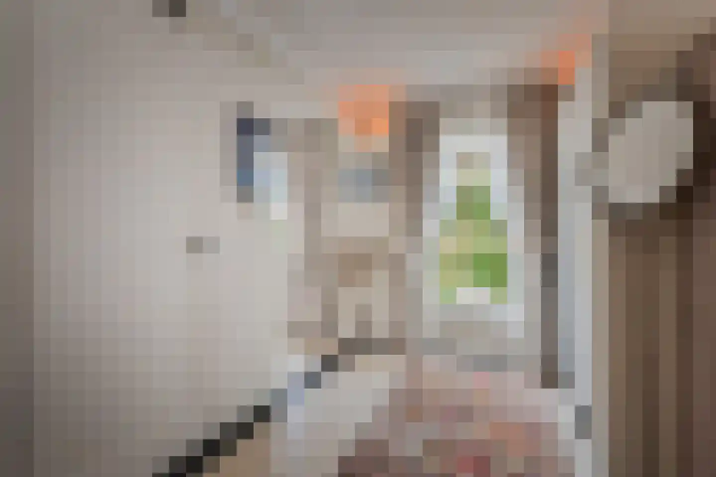 Pinaskade 82 Zoetermeer thumbnail 28