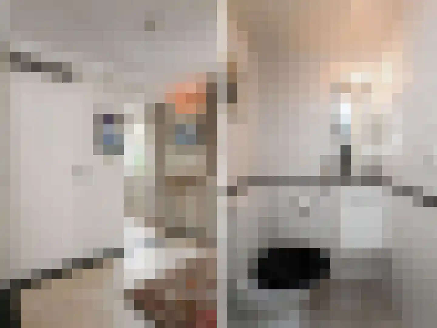 Pinaskade 82 Zoetermeer thumbnail 29