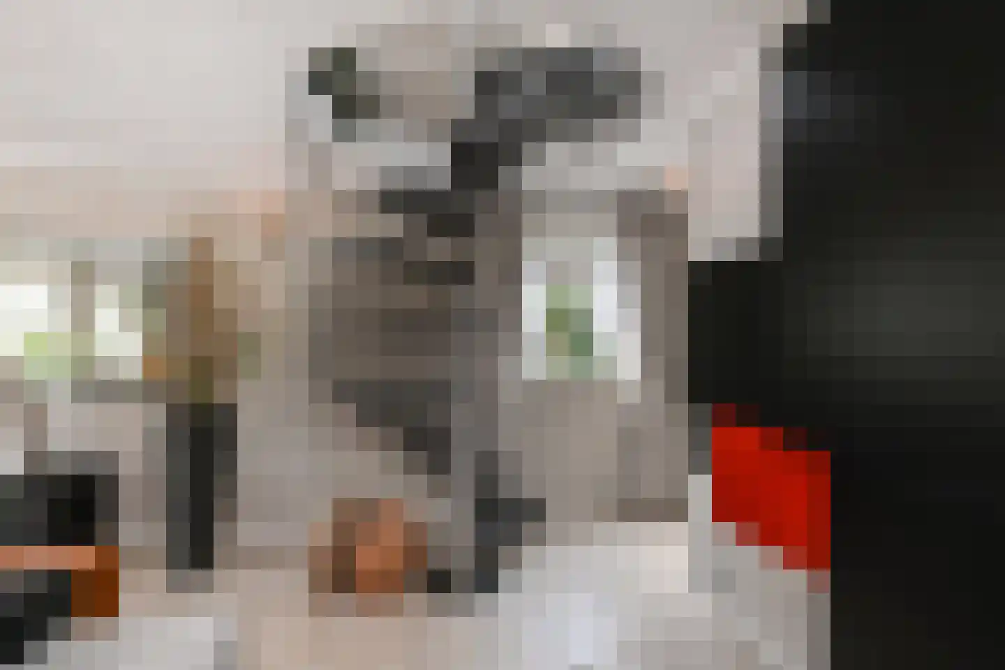 Pinaskade 82 Zoetermeer thumbnail 31