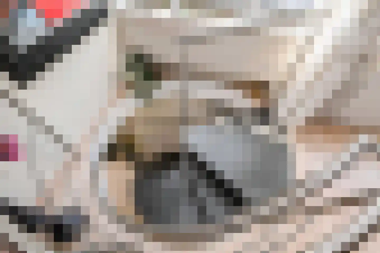 Pinaskade 82 Zoetermeer thumbnail 32