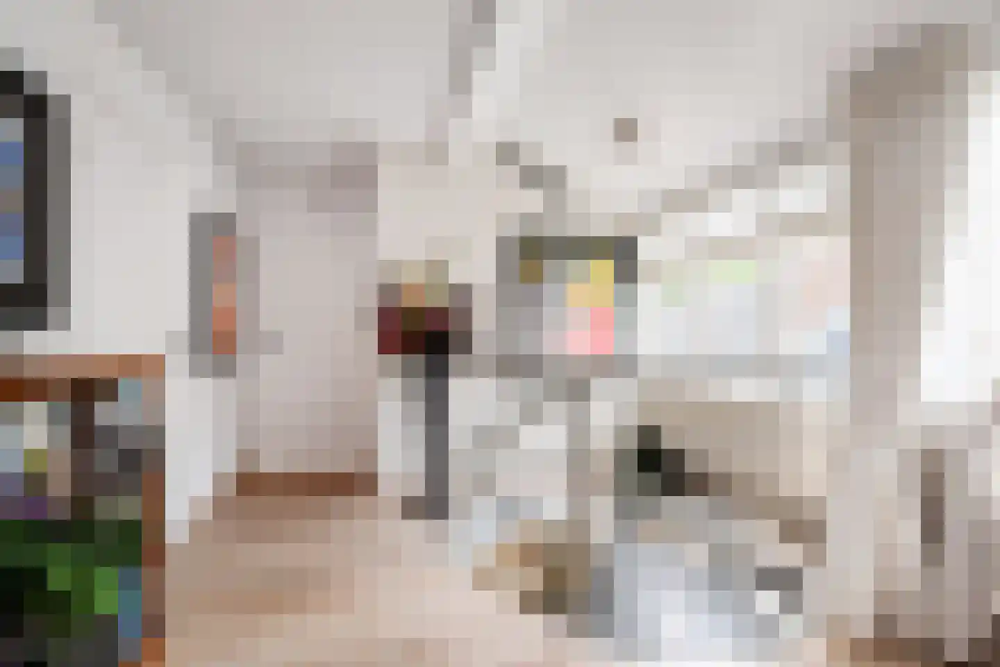 Pinaskade 82 Zoetermeer thumbnail 33