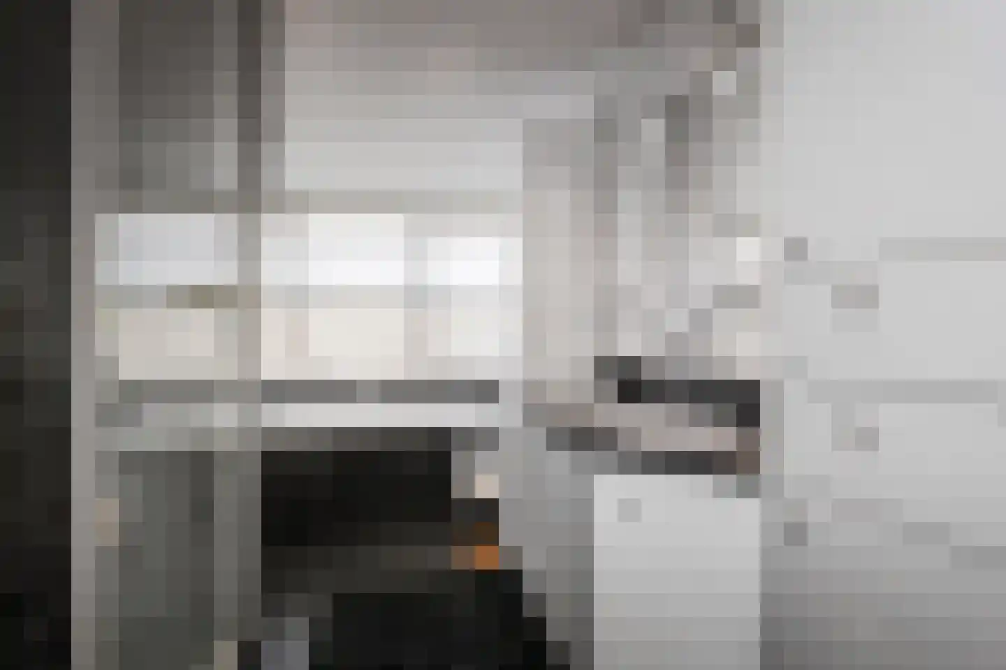 Pinaskade 82 Zoetermeer thumbnail 35