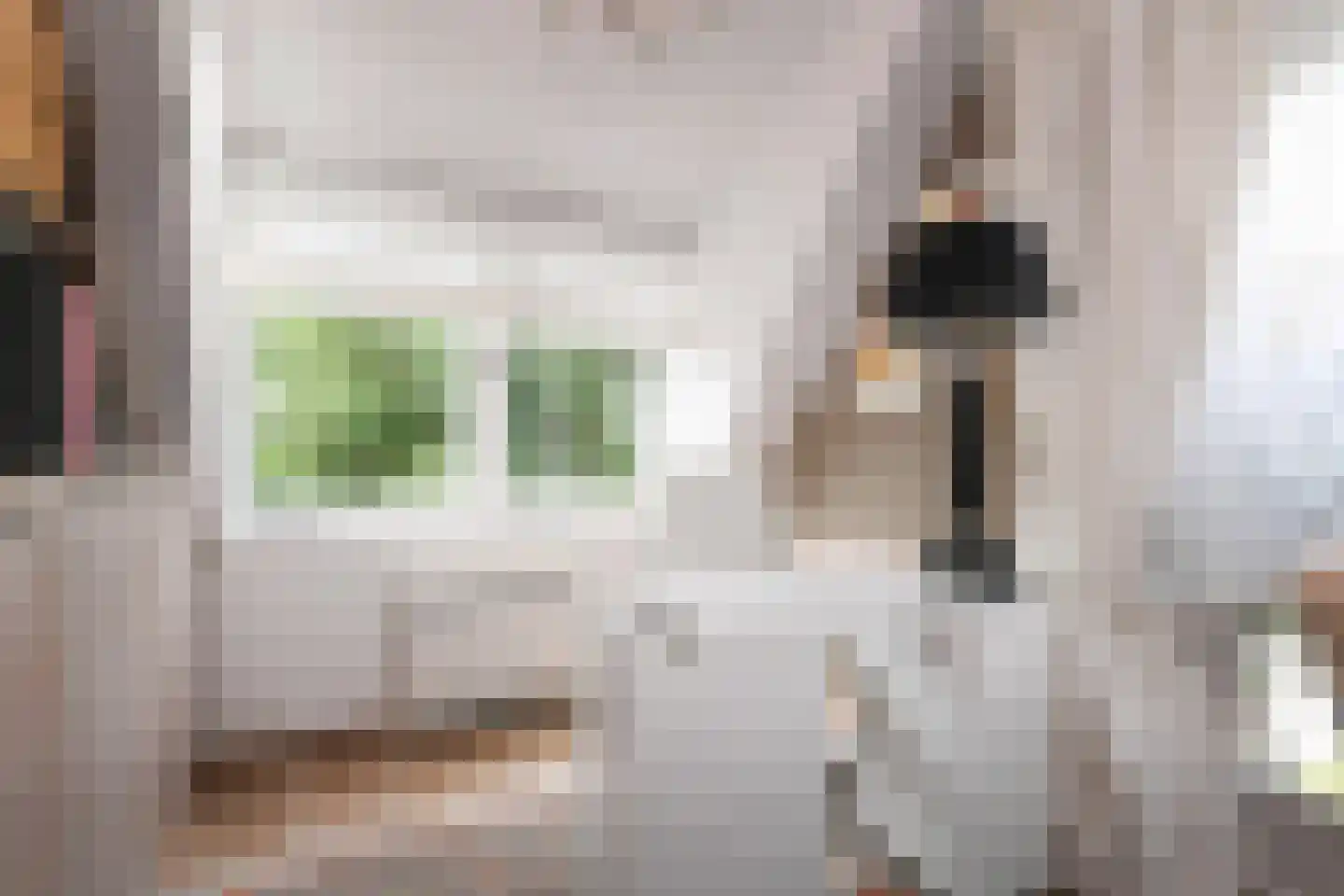 Pinaskade 82 Zoetermeer thumbnail 38