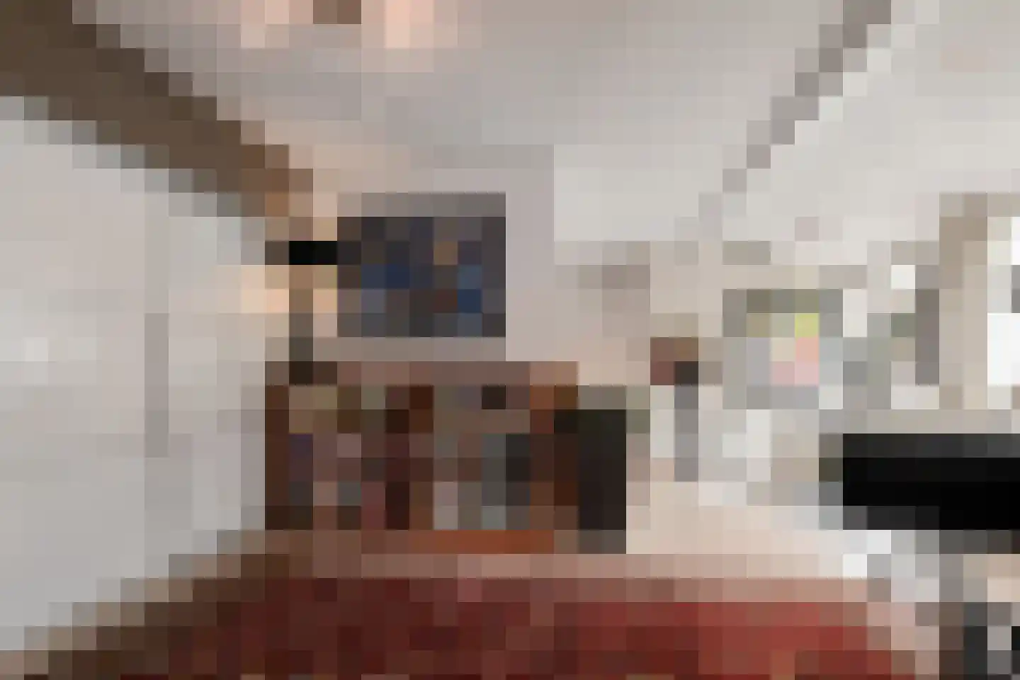 Pinaskade 82 Zoetermeer thumbnail 41