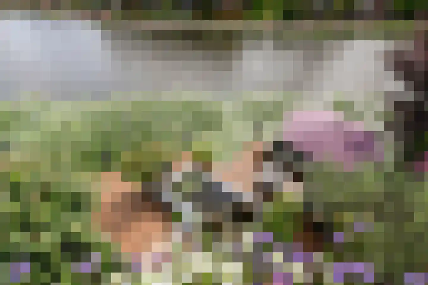 Pinaskade 82 Zoetermeer thumbnail 45