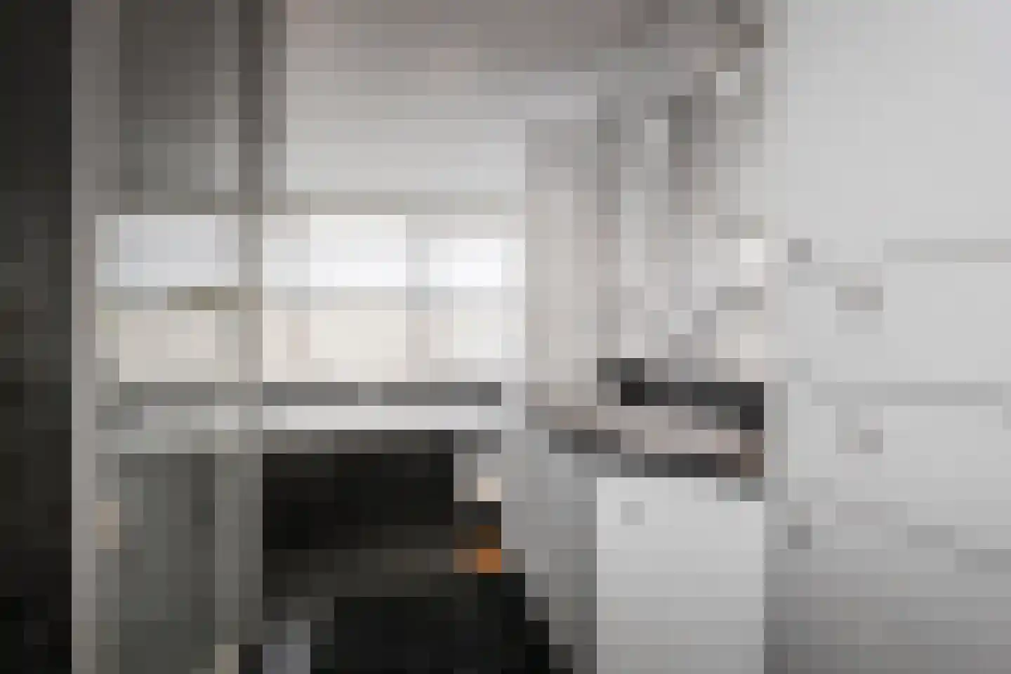 Pinaskade 82 Zoetermeer thumbnail 47