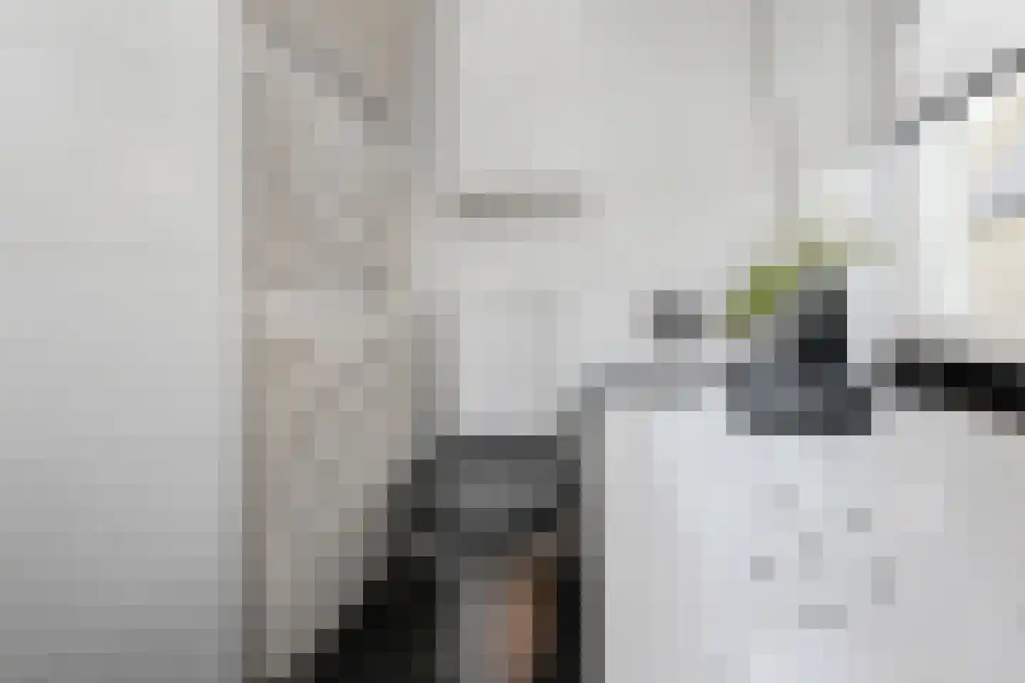 Pinaskade 82 Zoetermeer thumbnail 49