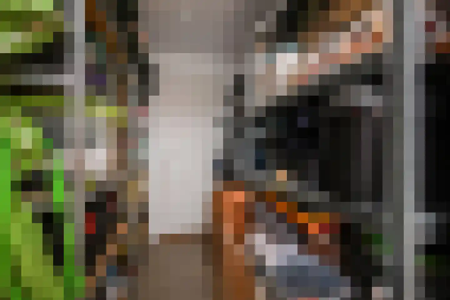 Pinaskade 82 Zoetermeer thumbnail 55