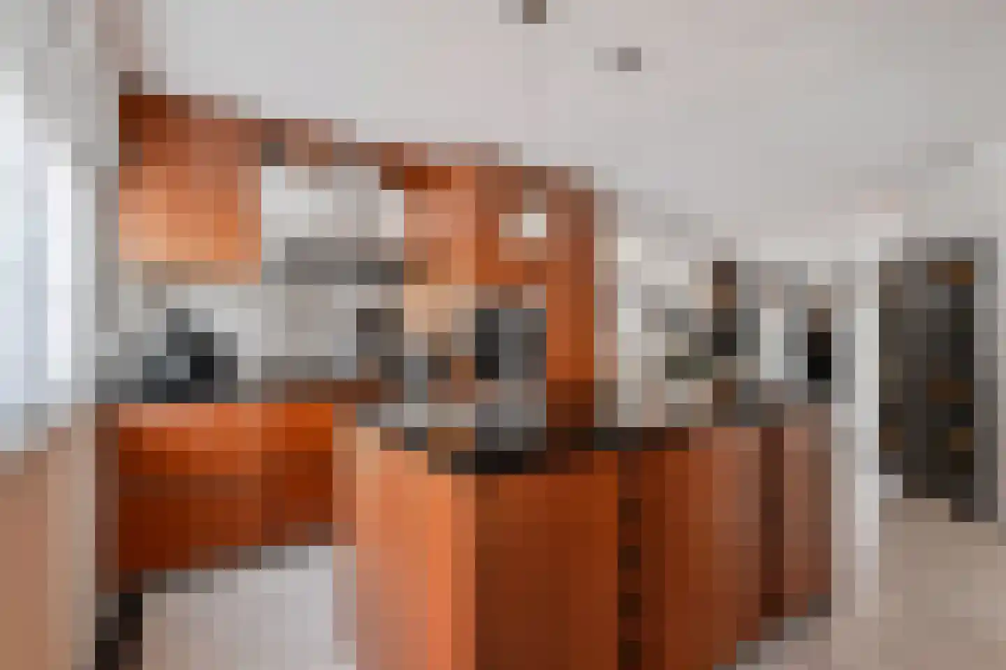 Pinaskade 82 Zoetermeer thumbnail 6