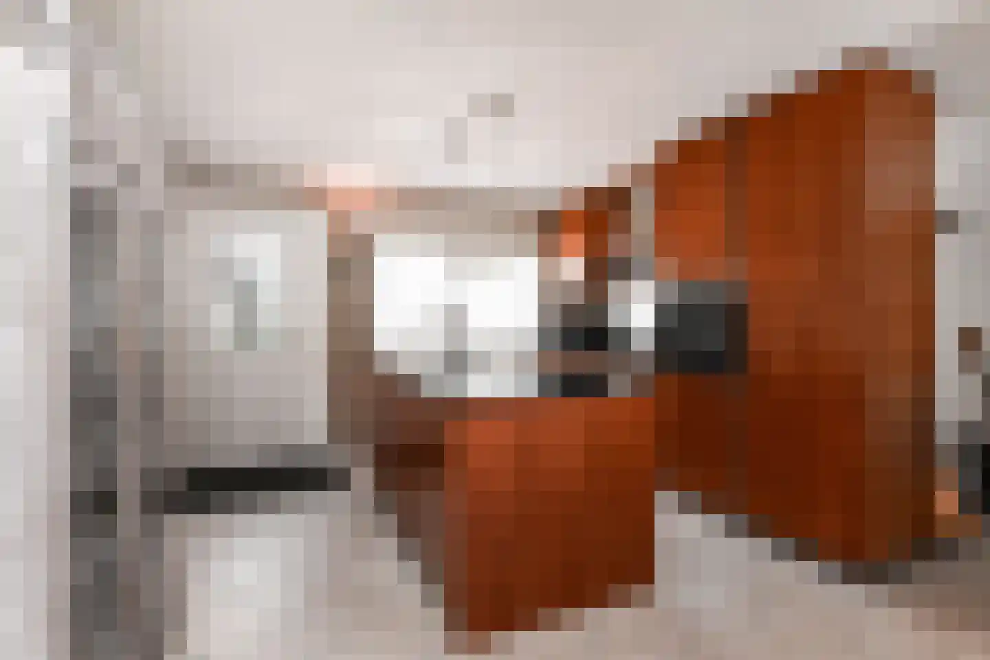Pinaskade 82 Zoetermeer thumbnail 7
