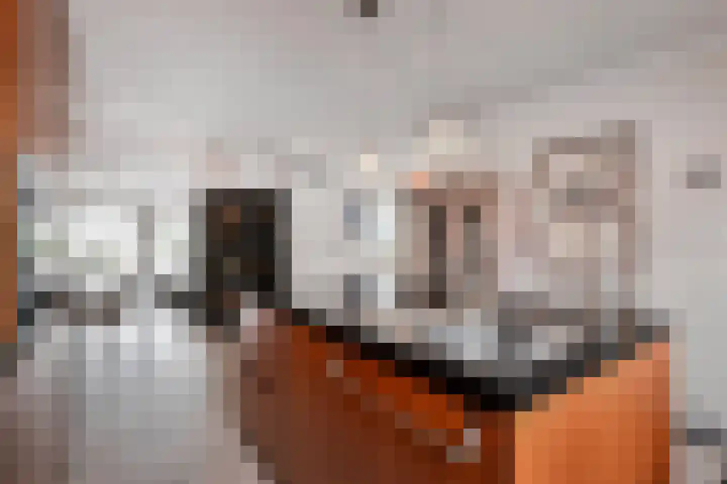 Pinaskade 82 Zoetermeer thumbnail 9