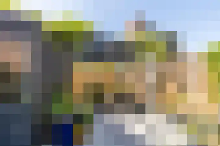 Pinasplein 13 B Rotterdam thumbnail 13
