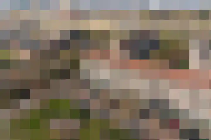 Pinasplein 13 B Rotterdam thumbnail 6