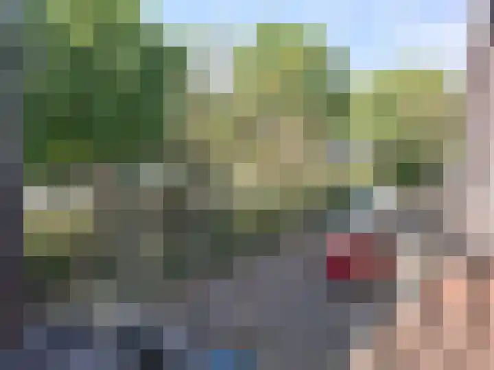 Pinasplein 17 A Rotterdam thumbnail 9