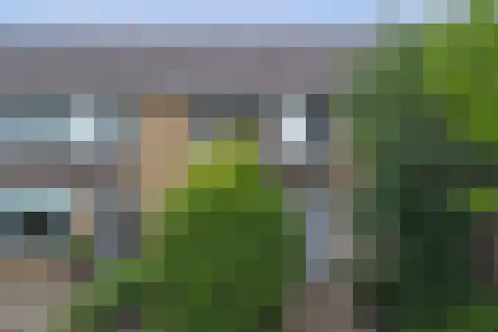 Pinasstraat 47 Zaandam thumbnail 43