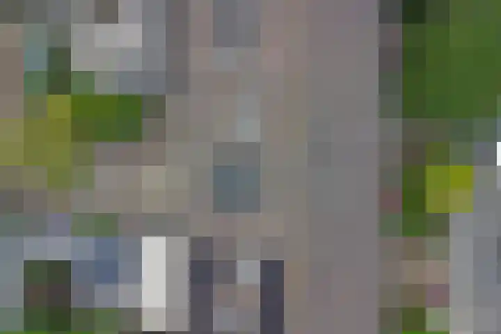Pinasstraat 47 Zaandam thumbnail 48