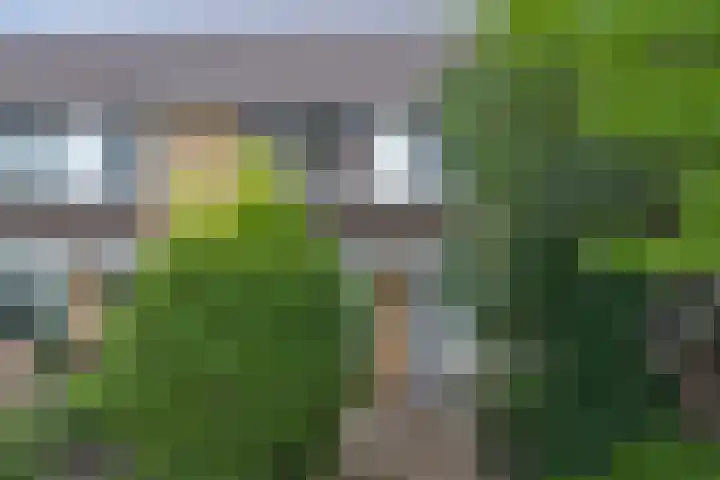 Pinasstraat 47 Zaandam thumbnail 60