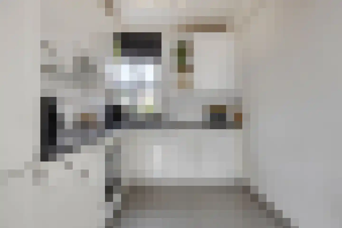 Pinasstraat 8 Zaandam thumbnail 10
