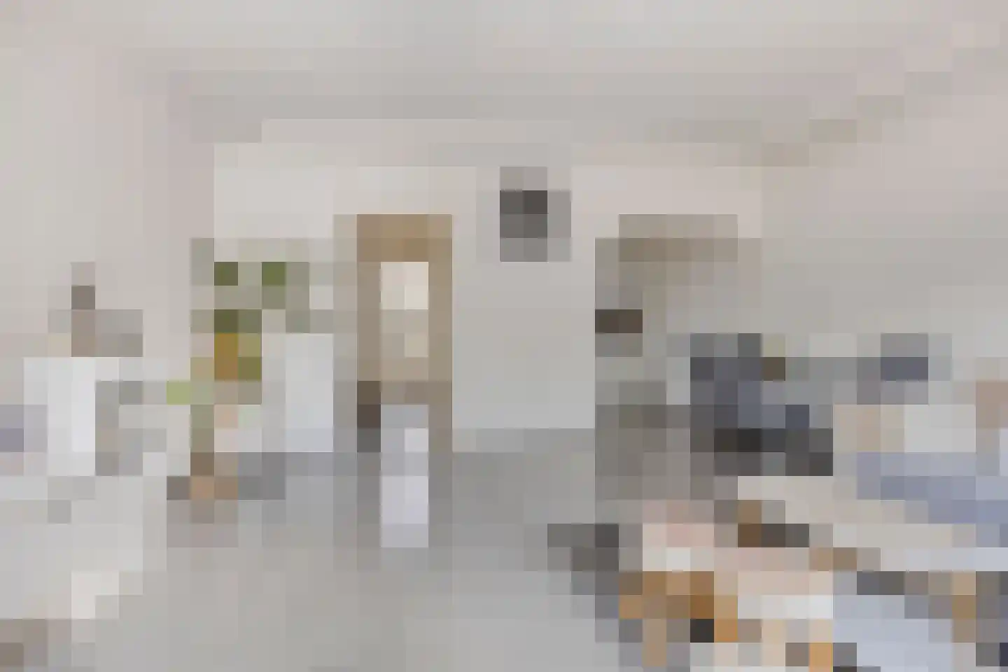 Pinasstraat 8 Zaandam thumbnail 8
