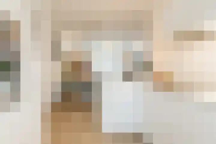 Pindosstraat 1 Tilburg thumbnail 13