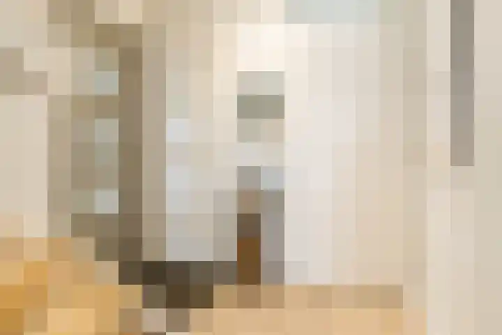 Pindosstraat 1 Tilburg thumbnail 14