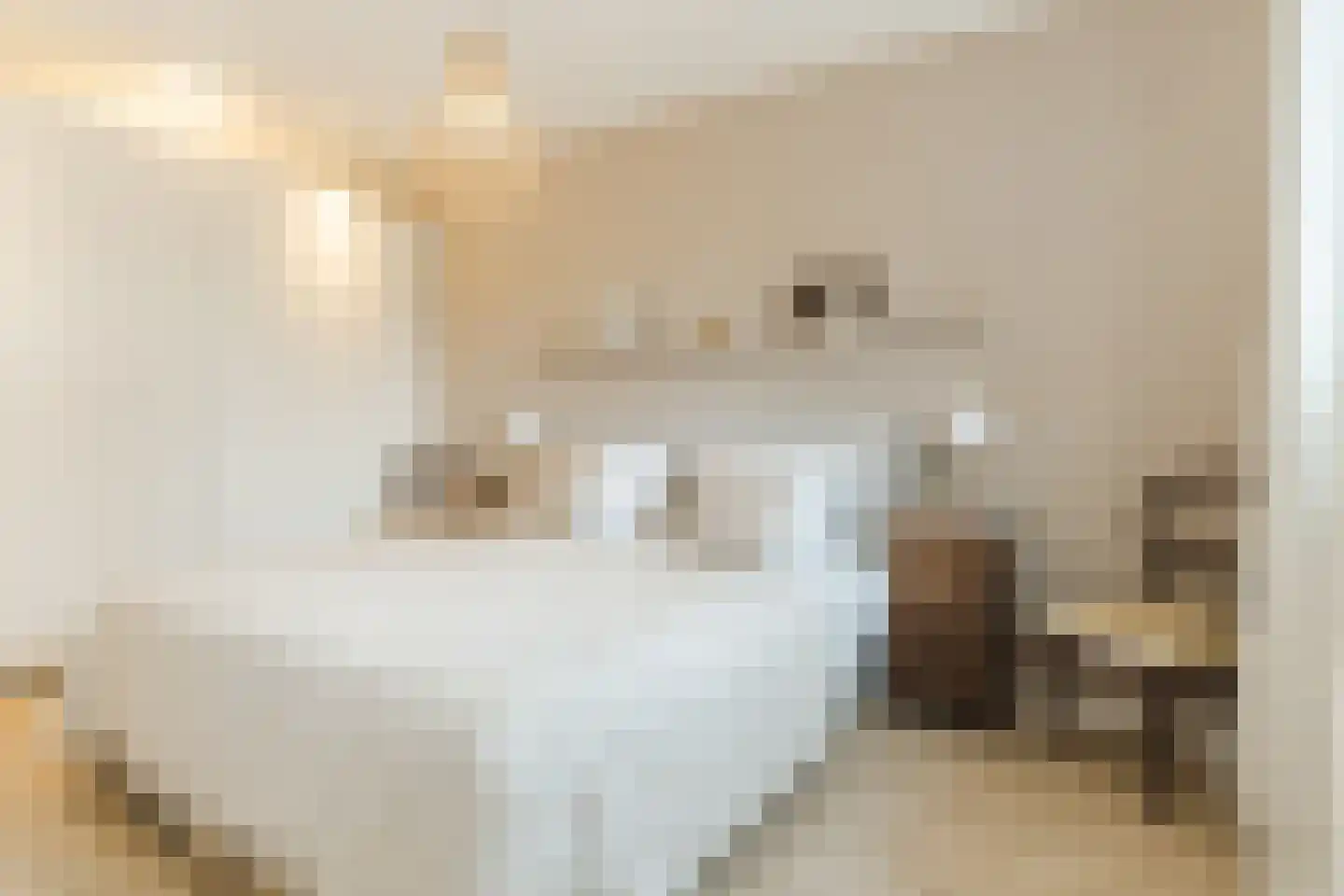 Pindosstraat 1 Tilburg thumbnail 17